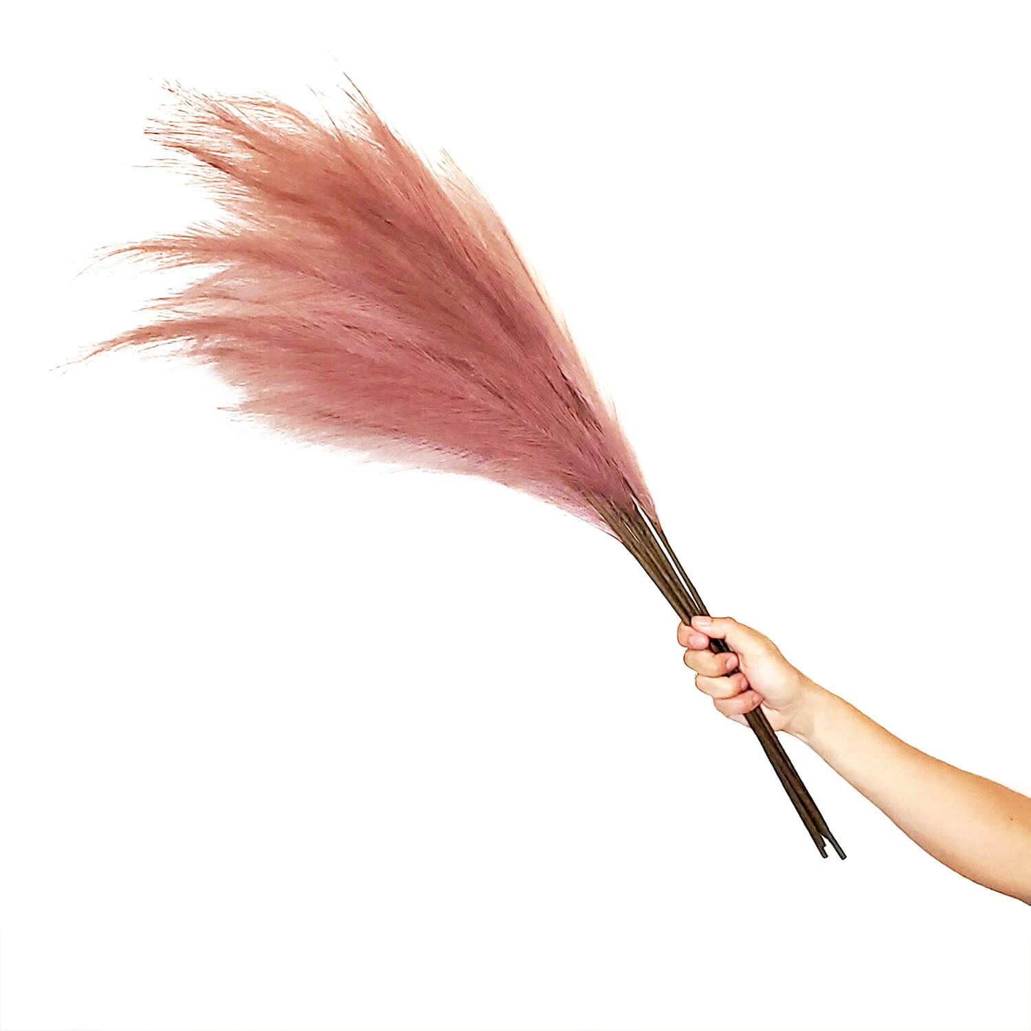 Faux Pampas Grass - 6 Stems - 38" Long - Dusty Rose 4 Faux Pampas Grass - 6 Stems - 38" Long - Dusty Rose - Image 2
