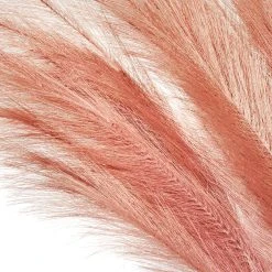 Faux Pampas Grass - 6 Stems - 38" Long - Dusty Rose 9 Faux Pampas Grass - 6 Stems - 38" Long - Dusty Rose -Event Decoration Sales Shop EDD Faux Pampas Grass 6 Stems 38 Long Dusty Rose 03
