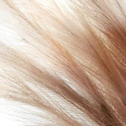 Faux Pampas Grass - 6 Stems - 48" Long - Natural Color -Event Decoration Sales Shop EDD Faux Pampas Grass 6 Stems 48 Long Natural Color 03