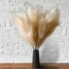 Faux Pampas Grass - 6 Stems - 48" Long - Sand -Event Decoration Sales Shop EDD Faux Pampas Grass 6 Stems 48 Long Sand 04