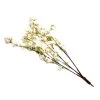 Single Drooping Cherry Blossom Branch - White - Interchangeable Branches For Large Event Trees! 2 Single Drooping Cherry Blossom Branch - White - Interchangeable Branches For Large Event Trees! -Event Decoration Sales Shop EDD SLT YH 001 WHT