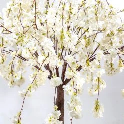 6FT Tall Drooping Cherry Bloom Tabletop Centerpieces Tree - 9 Interchangeable Branches - White 12 6FT Tall Drooping Cherry Bloom Tabletop Centerpieces Tree - 9 Interchangeable Branches - White -Event Decoration Sales Shop EDD SLTMB19 6 WHT 05