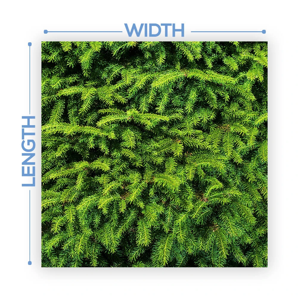 Premium Vinyl Dance Floor Wrap Custom Size - Christmas Day Tis The Tree 4 Premium Vinyl Dance Floor Wrap Custom Size - Christmas Day Tis The Tree - Image 2