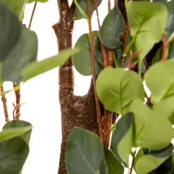 Green Eucalyptus Leaf Wedding Ceremony Arch W/ Interchangeable Branches - 8.5 Feet Tall 8 Green Eucalyptus Leaf Wedding Ceremony Arch W/ Interchangeable Branches - 8.5 Feet Tall -Event Decoration Sales Shop Round Eucalyptus Leaf Wedding Ceremony Arch EDD 04