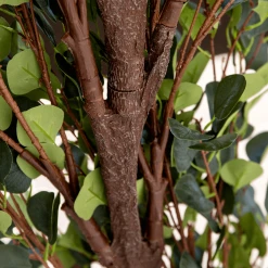 Green Eucalyptus Leaf Wedding Ceremony Arch W/ Interchangeable Branches - 8.5 Feet Tall 9 Green Eucalyptus Leaf Wedding Ceremony Arch W/ Interchangeable Branches - 8.5 Feet Tall -Event Decoration Sales Shop Round Eucalyptus Leaf Wedding Ceremony Arch EDD 05