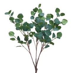 Single Eucalyptus Branch - Interchangeable Branches For Large Event Trees!