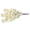 Single Hydrangea Bloom Branch - Interchangeable Branches For Large Event Trees! - Cream/Ivory -Event Decoration Sales Shop SLT HYDBRNCH IVY