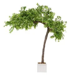 11 Feet Tall Grand Arch Fake Fig Leaf Tree - Interchangeable Branches! -Event Decoration Sales Shop SLTMB17 56 03
