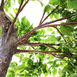 11 Feet Tall Grand Arch Fake Fig Leaf Tree - Interchangeable Branches! -Event Decoration Sales Shop SLTMB17 56 04