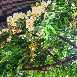 HUGE Greenery Hanging Floral Chandelier (14FT Long) - 45 Interchangeable Branches! - Green W/ White Florals 13 HUGE Greenery Hanging Floral Chandelier (14FT Long) - 45 Interchangeable Branches! - Green W/ White Florals -Event Decoration Sales Shop SLTMB20 54 05