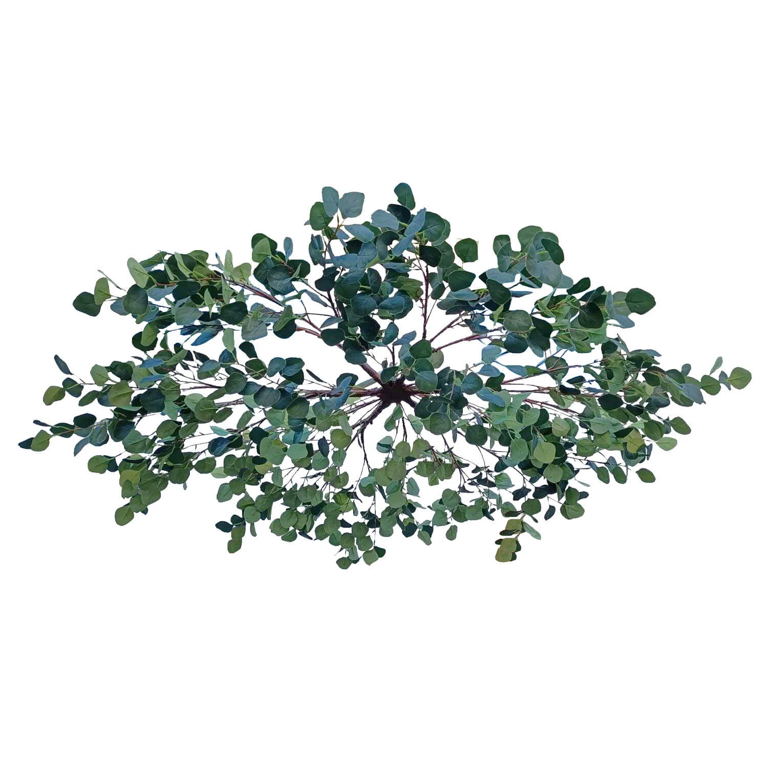Eucalyptus Leaf Hanging Floral Chandelier - Interchangeable Branches! - Green 5 Eucalyptus Leaf Hanging Floral Chandelier - Interchangeable Branches! - Green - Image 3