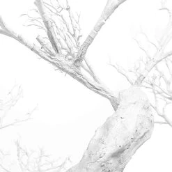 8ft Tall Grand Manzanita Tree - 24 Interchangeable Branches - White -Event Decoration Sales Shop SLTMB20 61 WHT 07 1