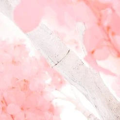 9FT Tall Arch Fake Plumeria White Trunk Tree - 14 Interchangeable Branches - Pink -Event Decoration Sales Shop SLTMB21 14 PNK V2 04