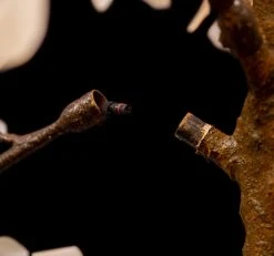 Lighted Cherry Blossom LED Tree - AC Adapter - 1000 LEDs - RGBW W/ Remote & Many Functions! - 8FT Tall -Event Decoration Sales Shop ts1IlEUw 1 2 3 4